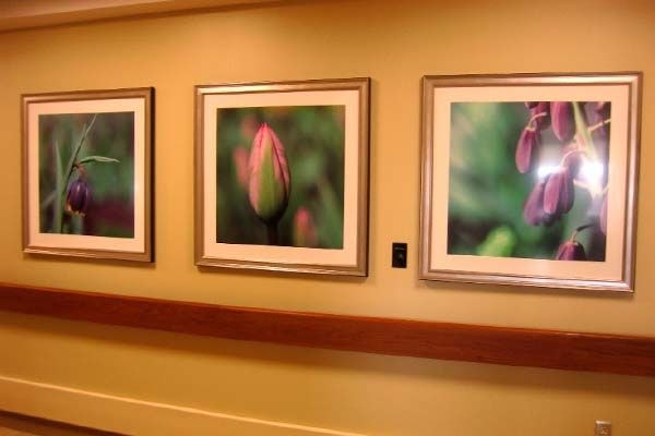  - Image360-Plymouth-CanvasArt&Signage-ProfessionalServices (6)